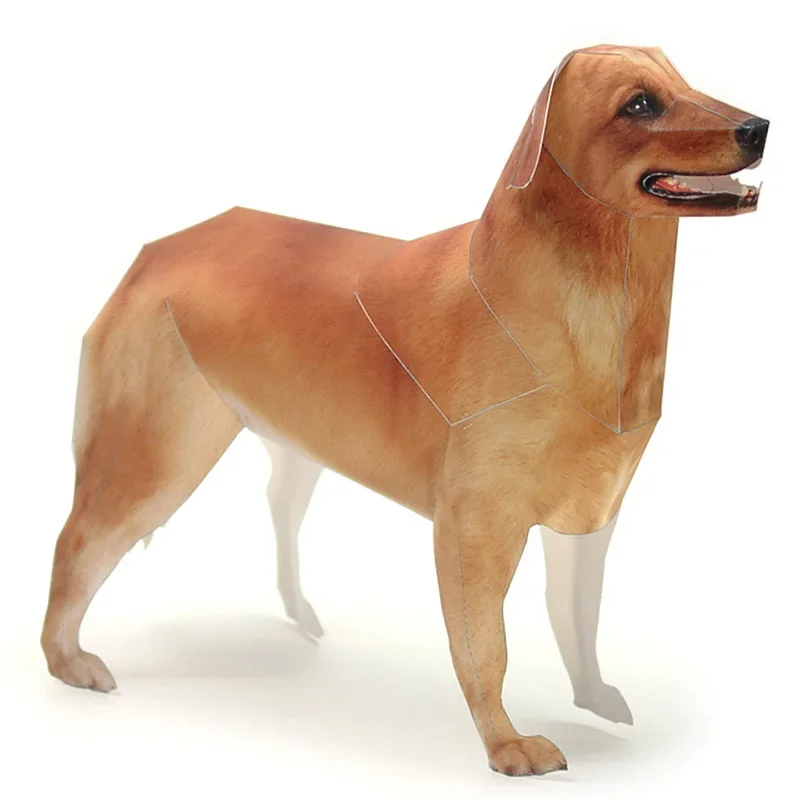 Art Craft Cardboard - Golden Retriever Hund Papier Modell Realistische