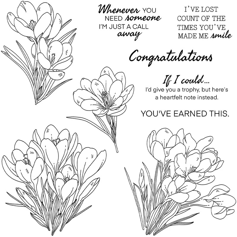 Zephyranthes Candida Stanzform – Rubber Stamp Blank Bewertung und Preis