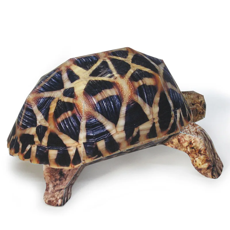 Indische Stern Schildkröte Pap – Art Craft Cardboard Bewertung und Preis