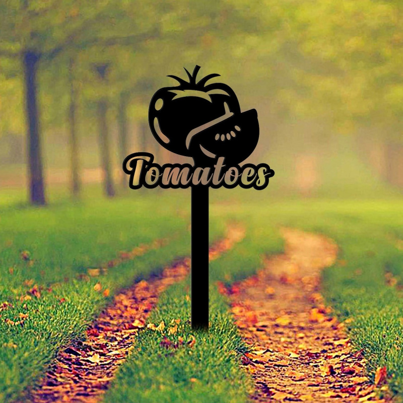Tomatenplantagen-Gemüsegartenm – Art And Craft Vegetable Bewertung und Preis
