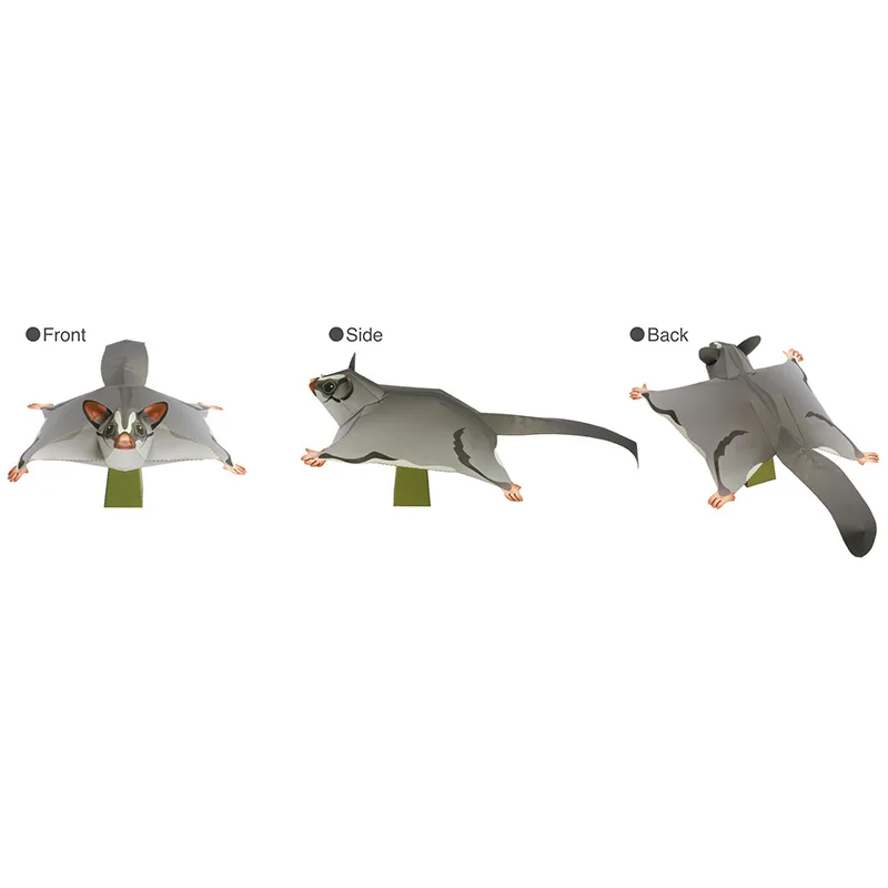 Sugar Glider Flying Mouse Hand – Art Craft Cardboard Bewertung und Preis